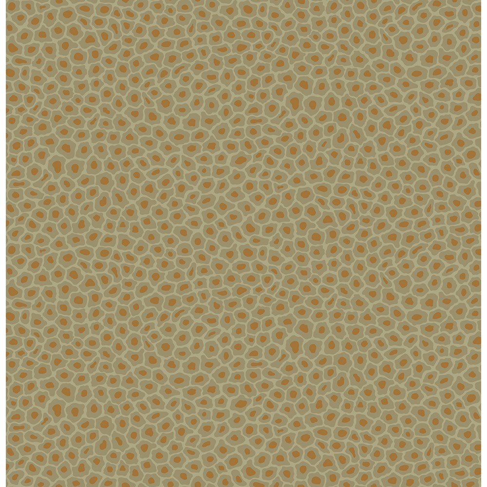 Senzo Spot Wallpaper 6029 by Cole & Son in Old Olive Green